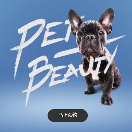 图们宠物中心小程序开发