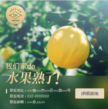 图们果园果林小程序开发